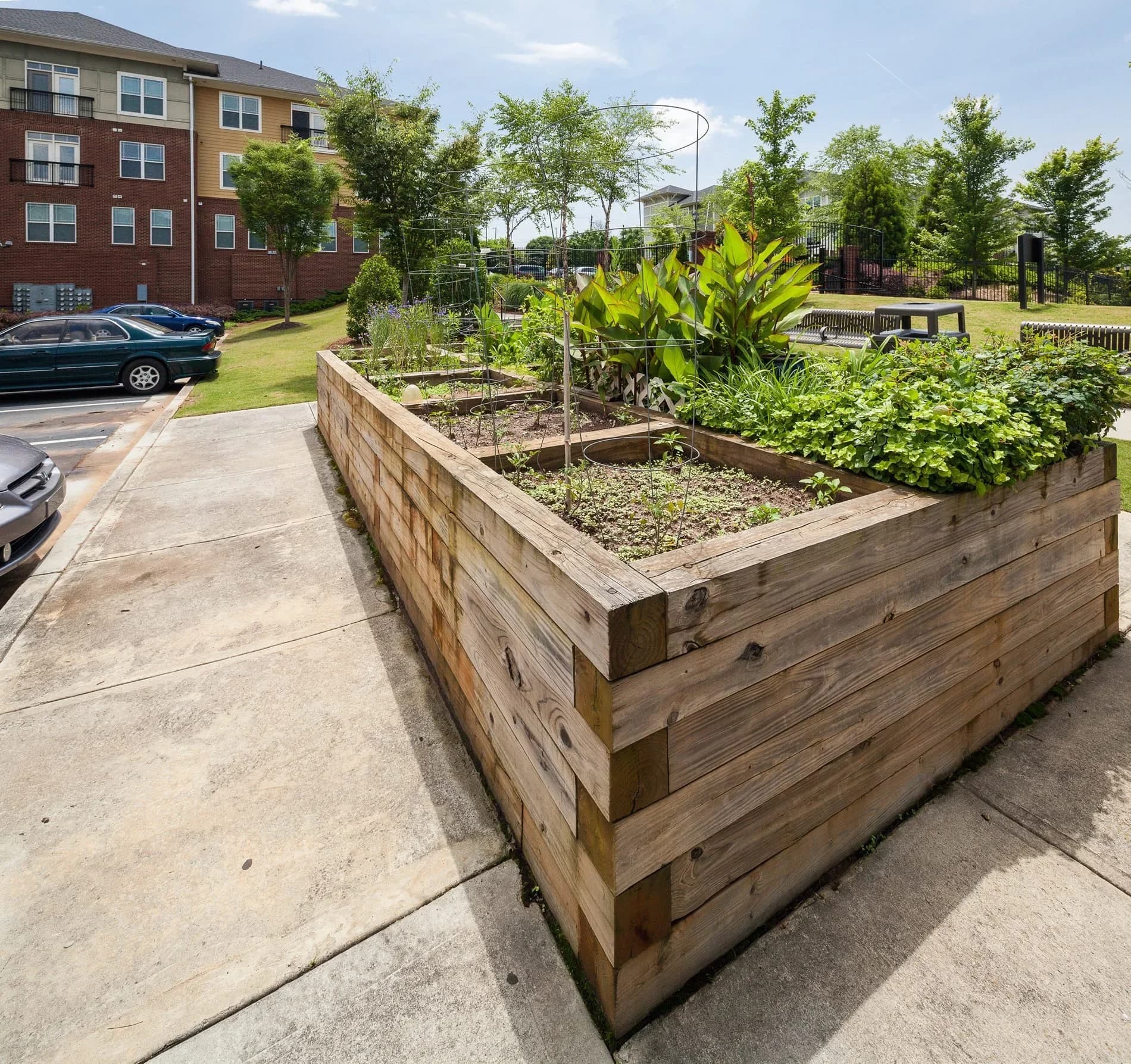 heritage-station-senior-community-garden.webp